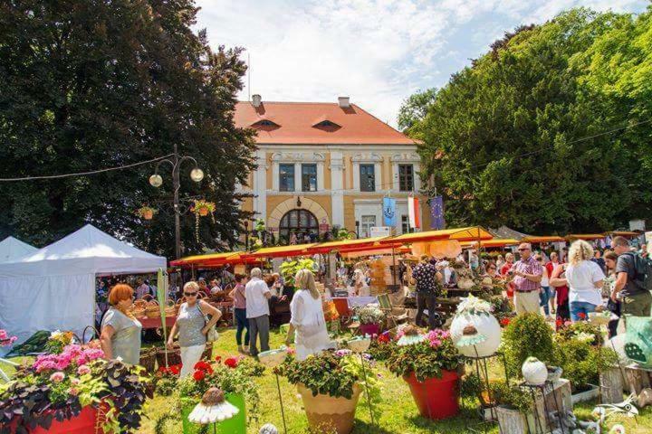 Lubiatow Der Kleine Bauernhof Keine Arbeiter Zadnych Pracownikowアパートメント エクステリア 写真